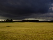 Gewitterfeld_hp